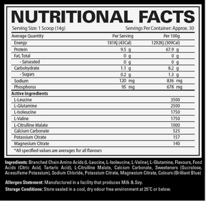 Precision BCAA by Precision Nutrition
